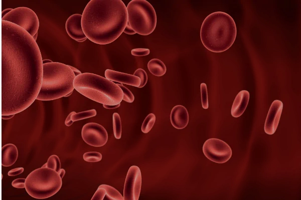 funkcja czerwonych krwinek